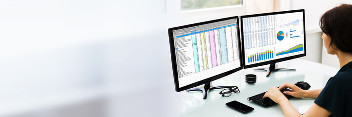 Analyst Employee Working With Spreadsheet