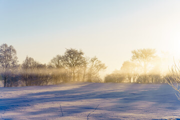 北海道の朝の樹氷風景
