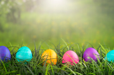 A Row of Solid Easter Eggs in the Grass