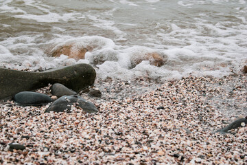 seashells on the sand