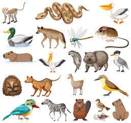 Fototapeta premium Different kinds of animals collection