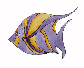 watercolor colored fish isolated on white background