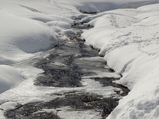 RUSCELLO CHE SCORRE TRA LA NEVE IN PRIMAVERA IN ALTA MONTAGNA