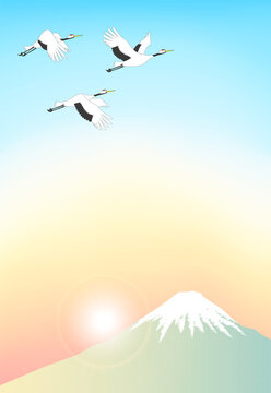 飛んでいる三羽の鶴と富士山と初日の出のポストカード はがきサイズ縦型 © akinotombo