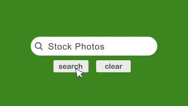 stock photos typing on Search Bar with click Animation On Green Background.searching the word on internet search browser.