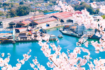 尾道水道と春の桜の花　春の尾道の風景