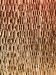 texture of wood, a floor mat.