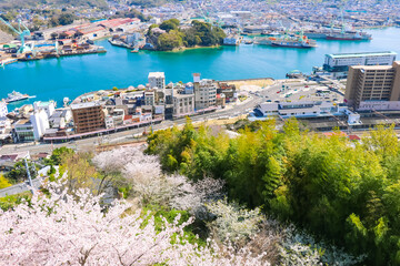 春の尾道水道の景色と満開の桜