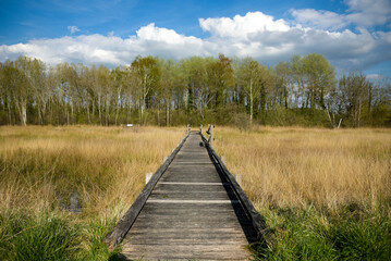 Fototapeta premium view on the marshes of Episy