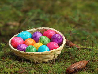 colorful easter eggs in a straw basket on green moss in the forest, close up of painted eggs in the nature at easter time