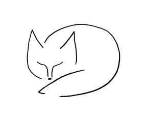 sleeping fox line drawing in black ink on white background
