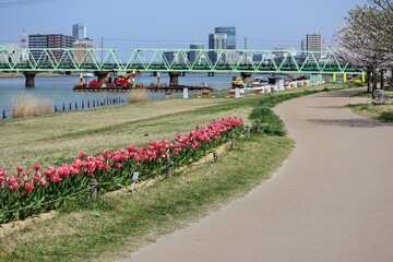 Obraz premium 日本の都市の春の川の風景