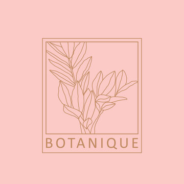 Trendy minimalist botanical abstract bohemian design icon