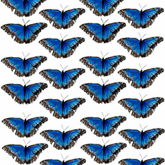 butterflies,butterflies with sequins,blue-black butterfly,exotic butterfly,butterfly with bubbles,butterfly with highlights,butterfly on a sky background,butterfly on a green background