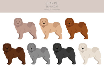 Fototapeta premium Shar Pei bear coat clipart. Different poses, coat colors set