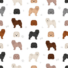 Shar Pei bear coat seamless pattern. Different poses, coat colors set