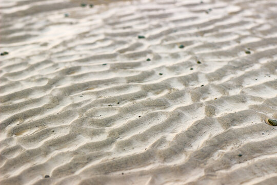 Cracked dry ground sand. Texture, background