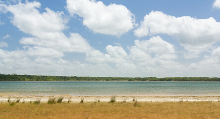 Fototapeta premium Lake at Wilpattu national park, Sri Lanka