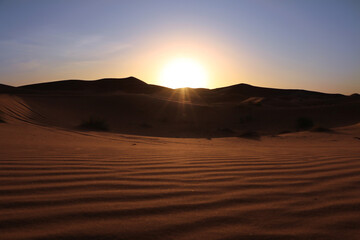 Fototapeta na wymiar Sahara desert under the sunlight in africa