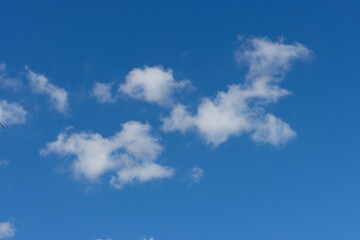 lovely fluffy white clouds in the sky above Sydney NSW Australia at sunset