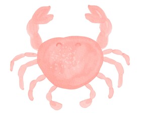 Watercolor crab. Watercolor sea life marine clipart. Nautical underwater world. Ocean isolated  illustration design element