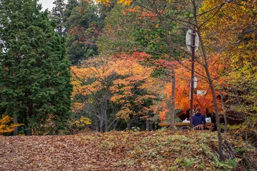 Mitake, Tokyo-Japan, The romatic autumn scenry on the Mitake Mountain, the maple is starting...