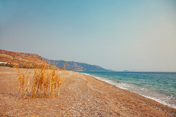 Turkey sea beach landscape with dry grass on foreground - 499246174