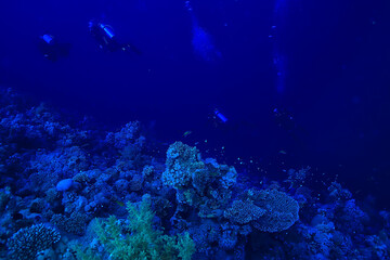 tropical sea underwater background diving ocean