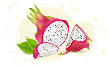 Half Piece of Dragon fruit vector illustraton with Fruit slices 