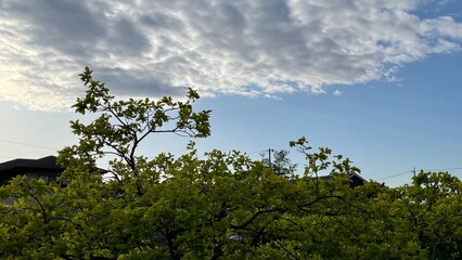 曇り空
