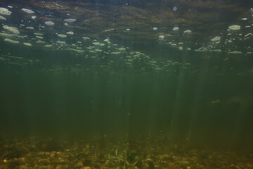 underwater fresh water green background with sun rays under, water
