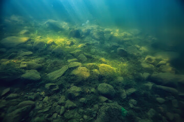 green algae underwater in the river landscape riverscape, ecology nature