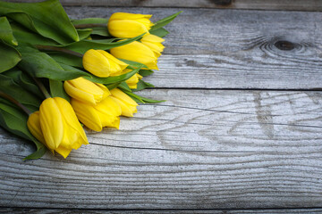 Fresh yellow tulips on wooden background. Beautiful Blank Card for Easter, March 8, valentines day, Mothers day. 