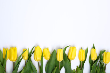 Spring composition. Delicate yellow tulips on white background top view space for text border. bouquet of fresh yellow tulips on white background 
