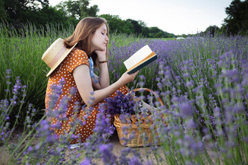 Provence - girl reading a book in a lavender field