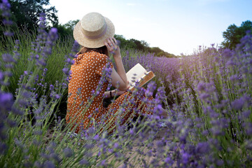Provence - girl reading a book in a lavender field - 499250133