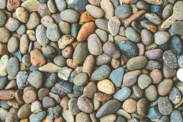 Colorful small pebbles or stone in garden with difference color.
