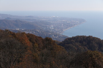 city skyline top view with sea landscape