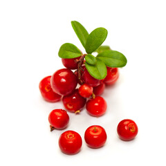 Red cowberry with green leaves isolated on white background