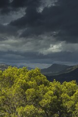 Dramatic Landscape before the storm, Carrer Puig de Morisca, Beautiful nature, trees, mountains, Mallorca, Balearic Islands, Spain.