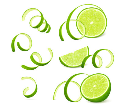 Pieces of lime fruit with twisted zest (peel) isolated on white background. Realistic vector illustration. 