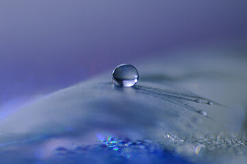 drop of water