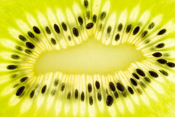 Close-up of transparent green kiwi slices as a background