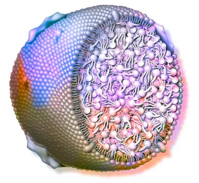 Lipoprotein with phospholipid membrane. Medicine