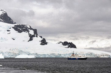 Antarctica Wildlife Expedition - Quark Expeditions Sea Spirit Cruise Ship