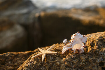 Engagement ring with seastar