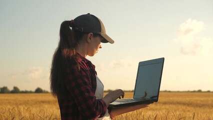 A woman businessman with a laptop in her hands works in wheat field, communicates and checks the...