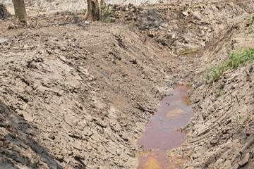 dry land on paddy filled and pool with less water in summer