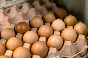 brown eggs in a box