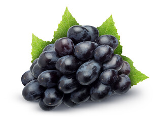 Isolated grapes bunch. Pile of dark blue grapes with leaves isolated on white background with clipping path
